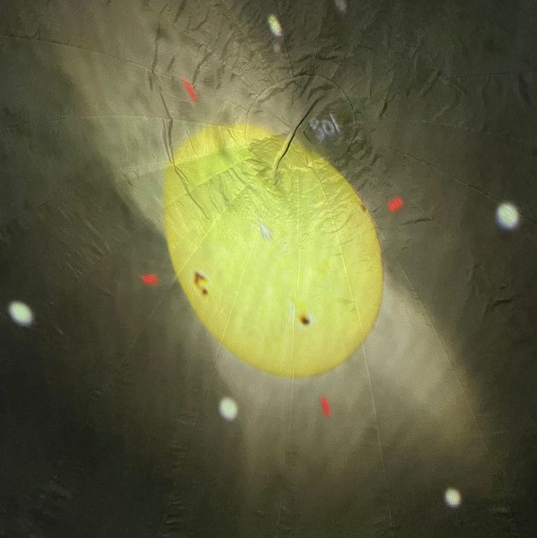 WhatsApp Image 2025-07-24 at 2.39.51 PM (2)